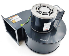 Blower Motor 115V 50/60 Hz | (1TDR7) 7008-6162 | NBK-20277