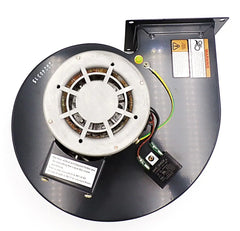 Blower Motor 230V– Replaces Dayton 1TDR8 | NBK-20517