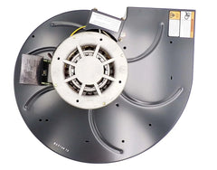 Blower Motor 115V | Nbk 20519