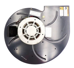 Blower Motor 115/230V- 1TDT9- NBK 20502