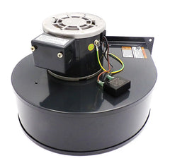 Blower Motor 230V– Replaces Dayton 1TDR8 | NBK-20517