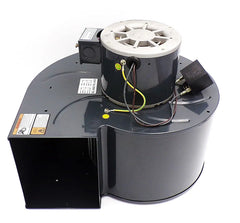 Blower Motor 115/230V | Dayton 1TDU2