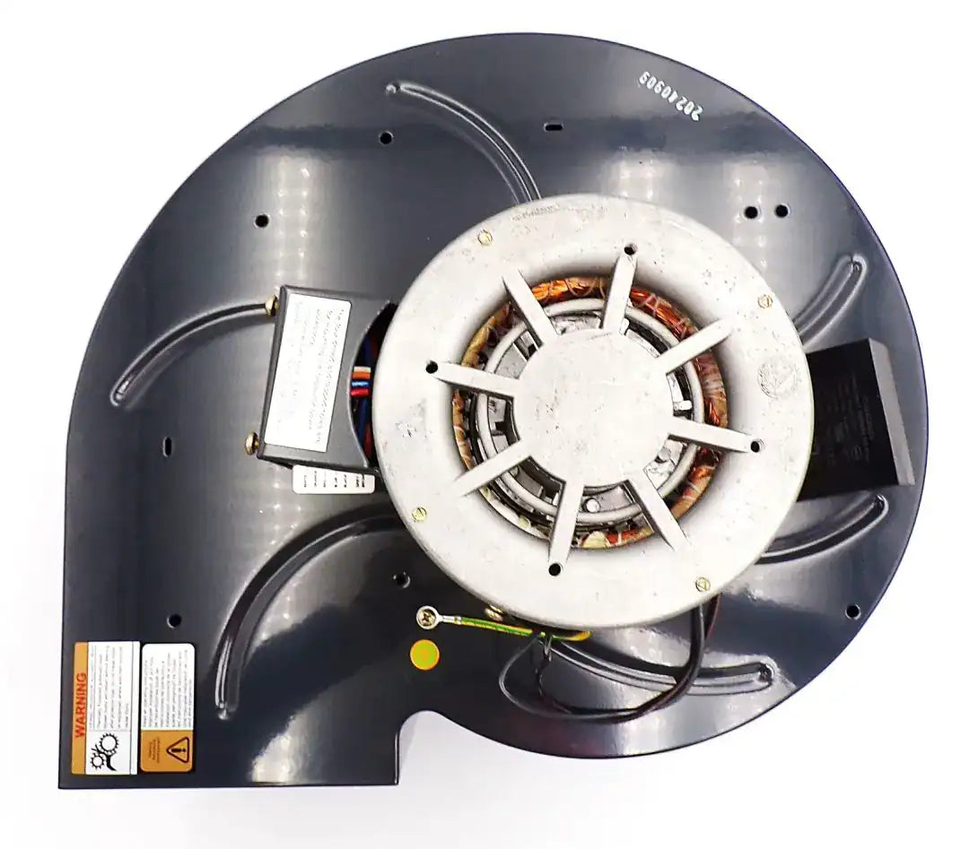 Blower Motor 115/230V | Dayton 1TDU2