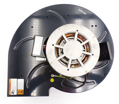 Blower Motor 115/230V | Dayton 1TDU2