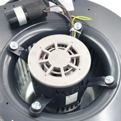 Blower Motor 115V, 3/4 Hp, 4 Speed, 50/60 Hz