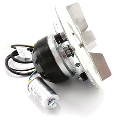 Combustion Motor 115V, 40W | Ravelli | NBK-21121