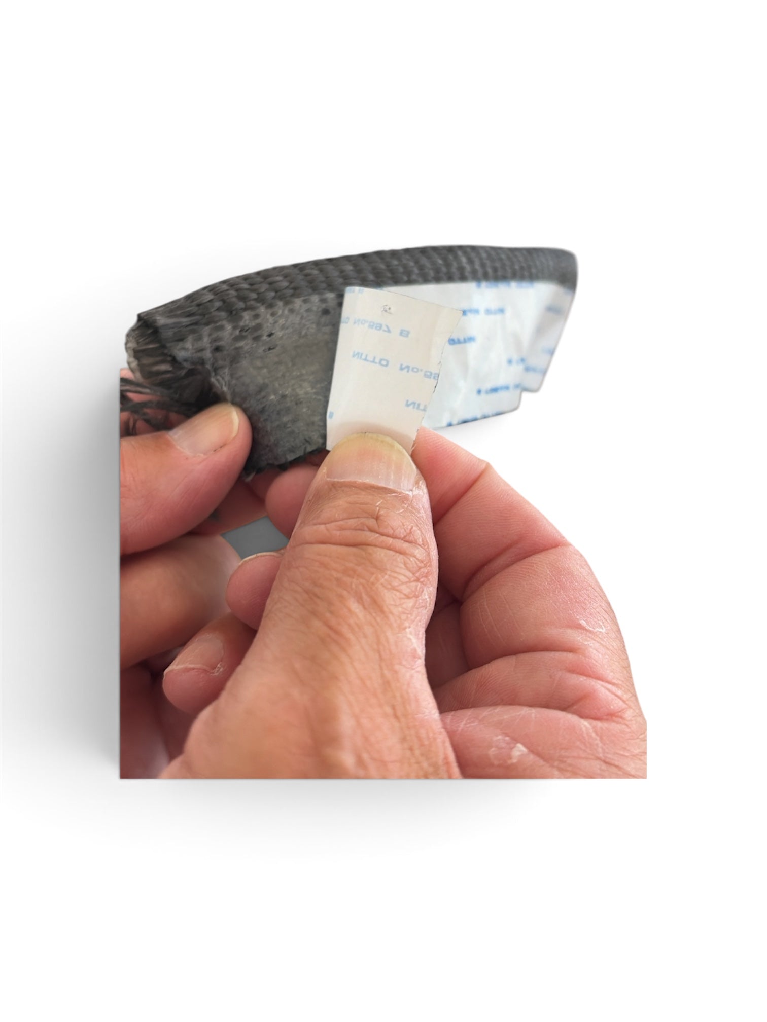 BBQ Smoker Tadpole Gasket – 1/2" Bulb x 1-1/8" Flat x 1-5/8" Overall – Self-Adhesive – Sold by Foot